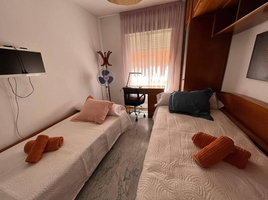 Apartamento Medina Azahara Cordoba Dış mekan fotoğraf