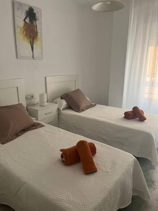 Apartamento Medina Azahara Cordoba Dış mekan fotoğraf